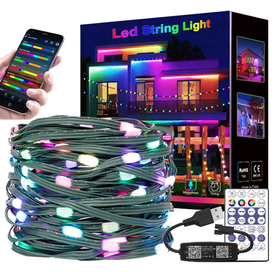 "WS2812B RGBIC Dream Color LED String Lights – 5M/10M/20M Individually Addressable Waterproof Party & Christmas Lights (DC5V)"